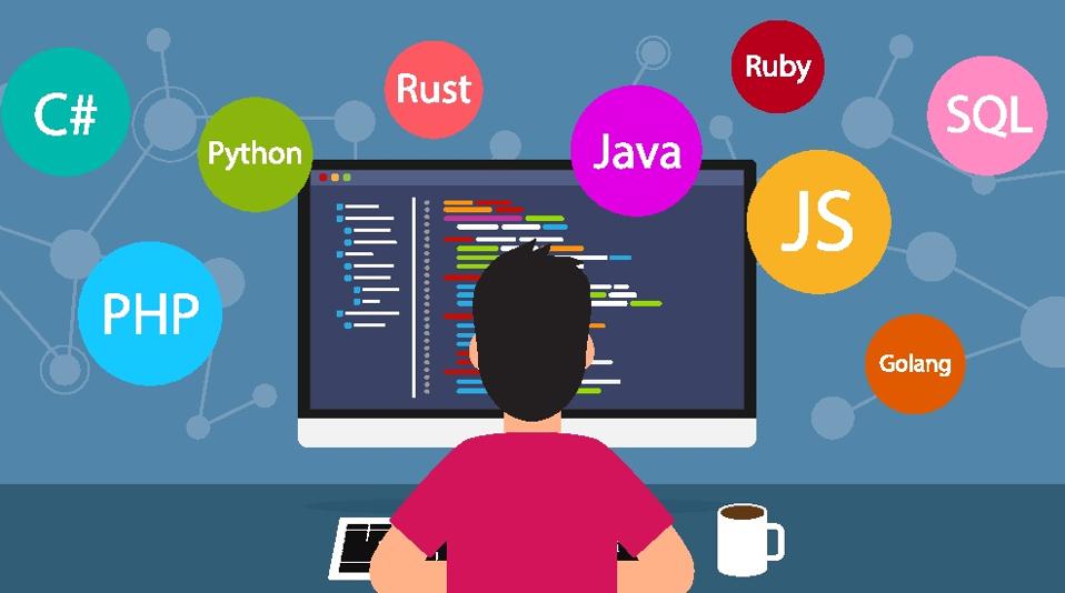 THE FASTEST WAY OF BECOMING A SOFTWARE DEVELOPER IN 1 YEAR